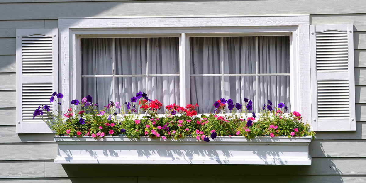 how to select replacement windows